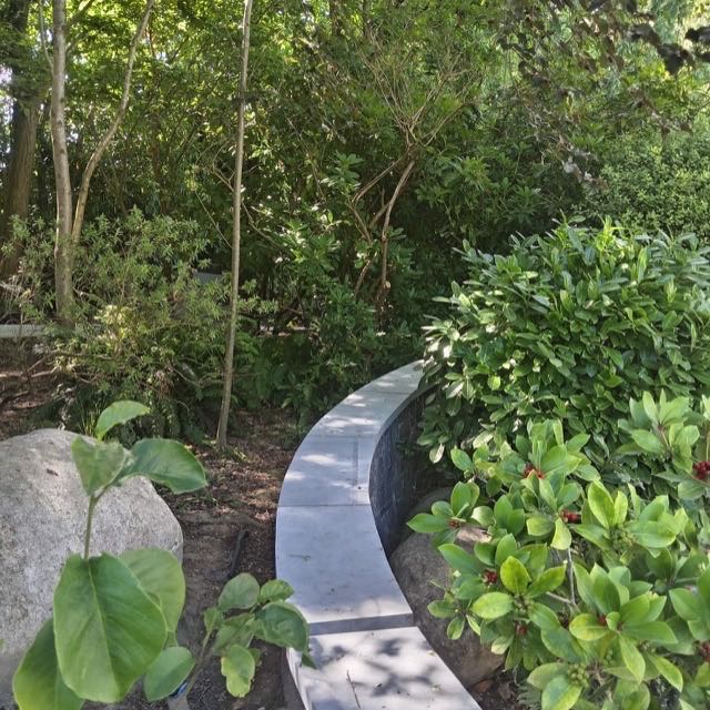 Curved stone retaining wall with coping in a woodland garden
